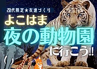 【20代限定友達づくり】よこはま夜の動物園(野毛山動物園)でナイトウォーク🚶『1人参加9割以上 ！ナイトウォーク好きの主催者、夜景好き、動物園好き、話し好きが集う、土曜18時ナイトイベント！』