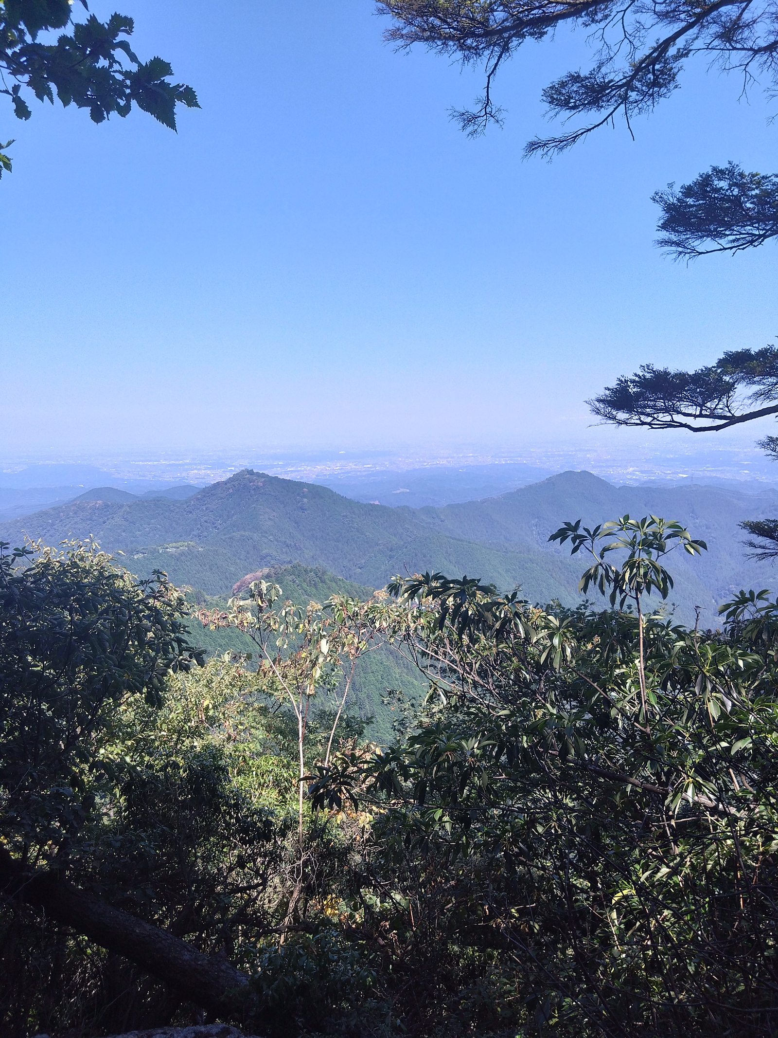 2023  8月11日 ゆるーい登山会（高尾山）