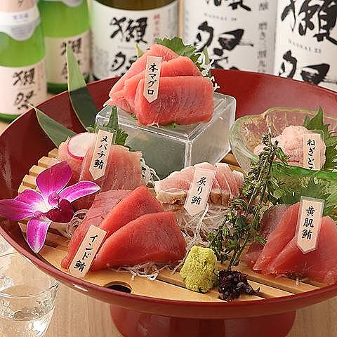 【先着4名無料】マグロ専門店でマグロを食べつくそう🐥🐥