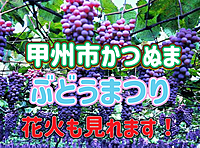 甲州市かつぬまぶどうまつりに行って、ぶどう・ワイン・花火・夜景を楽しもう！