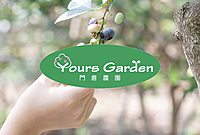 【現在8名】戸塚でフルーツ狩り🫐30分食べ放題