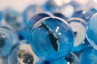 サンピアザ水族館🐟花手水の巻