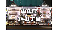 東銀座ナイトウォーク！あまり知られていない銀座の東側エリアを１丁目から８丁目まで縦断します♪