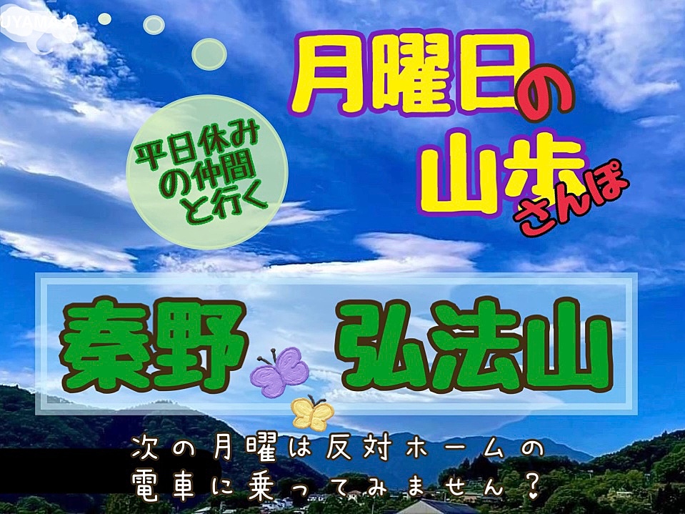 月曜の新たなアクティブライフ😆神奈川 秦野で初心者向けのんびり平日低山ハイキング🎵