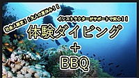 大人の夏休み（社会人限定）！〜体験ダイビングしませんか〜