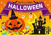 もうすぐ〆🎃HAPPY✨Halloween♪１年に１度の楽しい日♪♪仕事帰りのひやかし歓迎☆簡単なかぶりものくらい用意しておくね～♪手ぶらOK!! 持参もOK!!