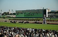 東京競馬場に行こう！（東京都府中市）