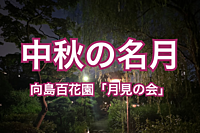 【中秋の名月】向島百花園「月見の会」に参加していつもと違うお月見を