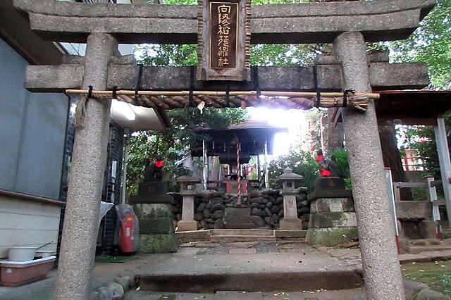 【先着4名無料】神社巡りしよう🏵️🏵️