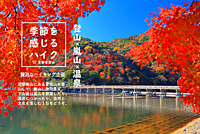 【あと2名で〆切】愛宕山ハイキング×嵐山散策×温泉