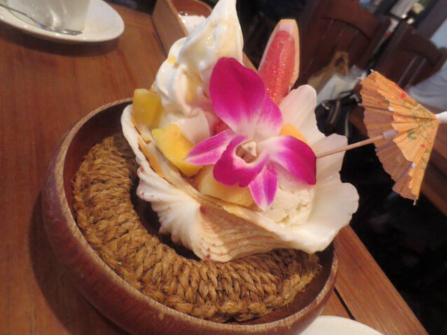 ハワイアンカフェでランチ会&カフェ会しよ〜🌴女性主催です〜😽😽