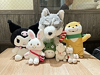 第2回　ぬいぐるみと行く水族館！　みんなでぬい撮りしちゃおう♪