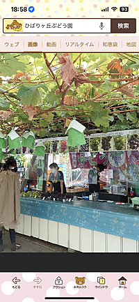 秋のぶどう狩りに行こう！東京都ひばりヶ丘