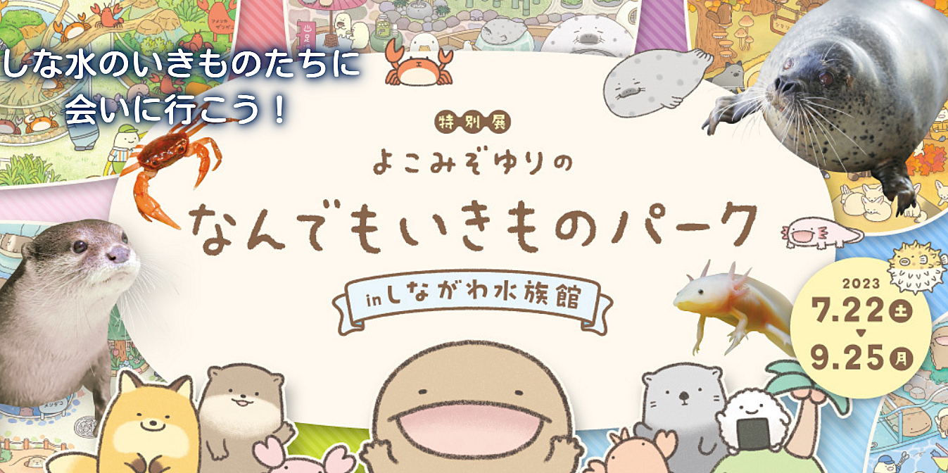 品川水族館に行ってみよう！🐟