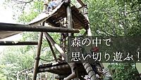 【共同主催です】大人も楽しめる✨巨大アスレチックで思いっきり体を動かそう🏃‍♀️