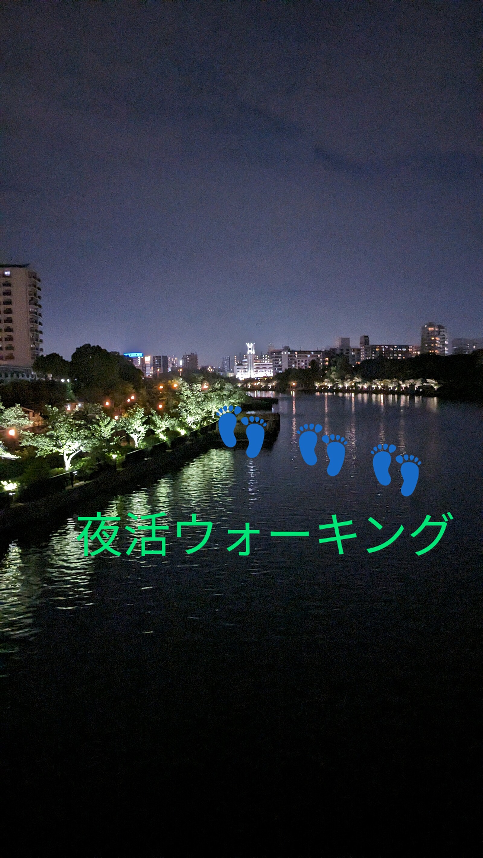 【夜活ゆるゆるウォーキング】心地よい夜風と美しい夜景を楽しむ癒しのウォーキング✨