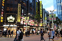 【東新宿の夜景📸】参加者同士でプロフィール写真撮影✨