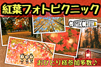【紅葉フォトピクニック】お一人参加多数♪ ＠林試の森公園【第475回】