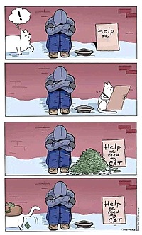 【結構本気な英会話】少人数で楽しく英会話✨