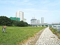 【現在4名参加】二子玉川駅の公園等で楽しくキャッチボールをしよう！