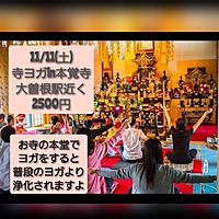 11月11日(土)寺ヨガin本覚寺