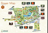 【鶴見緑地フォト散歩】美しい自然と写真を楽しむイベント✨