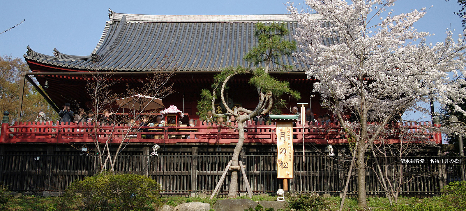 徳川将軍家の菩提寺寛永寺を参拝しましょう。