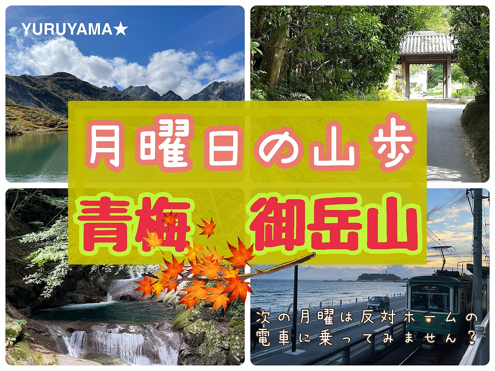 ◇10/30(月)◇紅葉シーズンスタートの御岳山🍁平日休み仲間と清流沿い森林ハイキング🐾