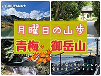 ◇10/30(月)◇紅葉シーズンスタートの御岳山🍁平日休み仲間と清流沿い森林ハイキング🐾