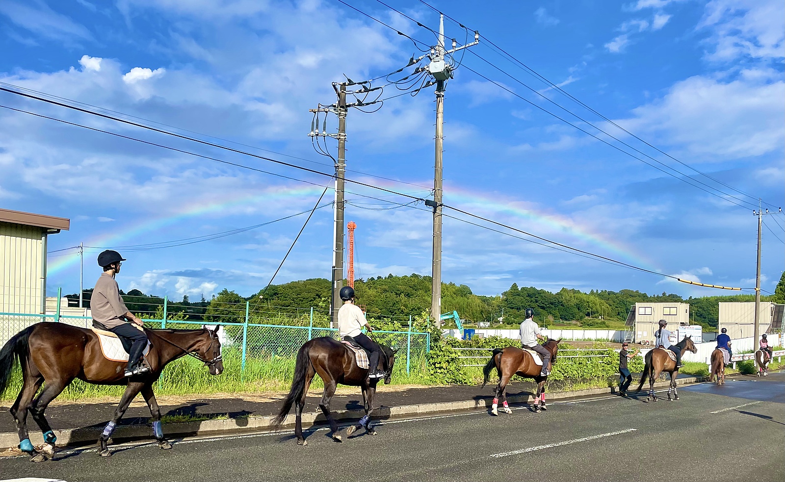 馬好きさんと馬に乗る会🐴💕(外乗,未経験でも大丈夫です☀️)