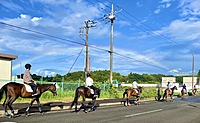 馬好きさんと馬に乗る会🐴💕(外乗,未経験でも大丈夫です☀️)