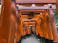 初心者向け　伏見稲荷から将軍塚までハイキング♪