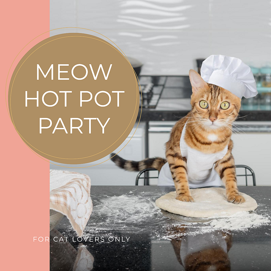 猫好きのための鍋会　～Let's have a hot pot party！～
