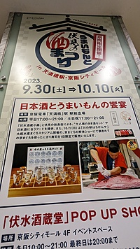 【夜活ゆるゆるウォーキング】心地よい夜風と美しい夜景を楽しむ癒しのウォーキング✨