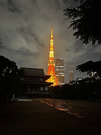【20代前半主催】秋の夕暮れに映える東京タワーを見に行こう！