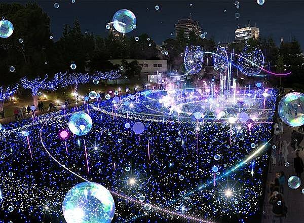 【先着4名無料】超人気のイルミネーションを見に行こう🏵️🏵️