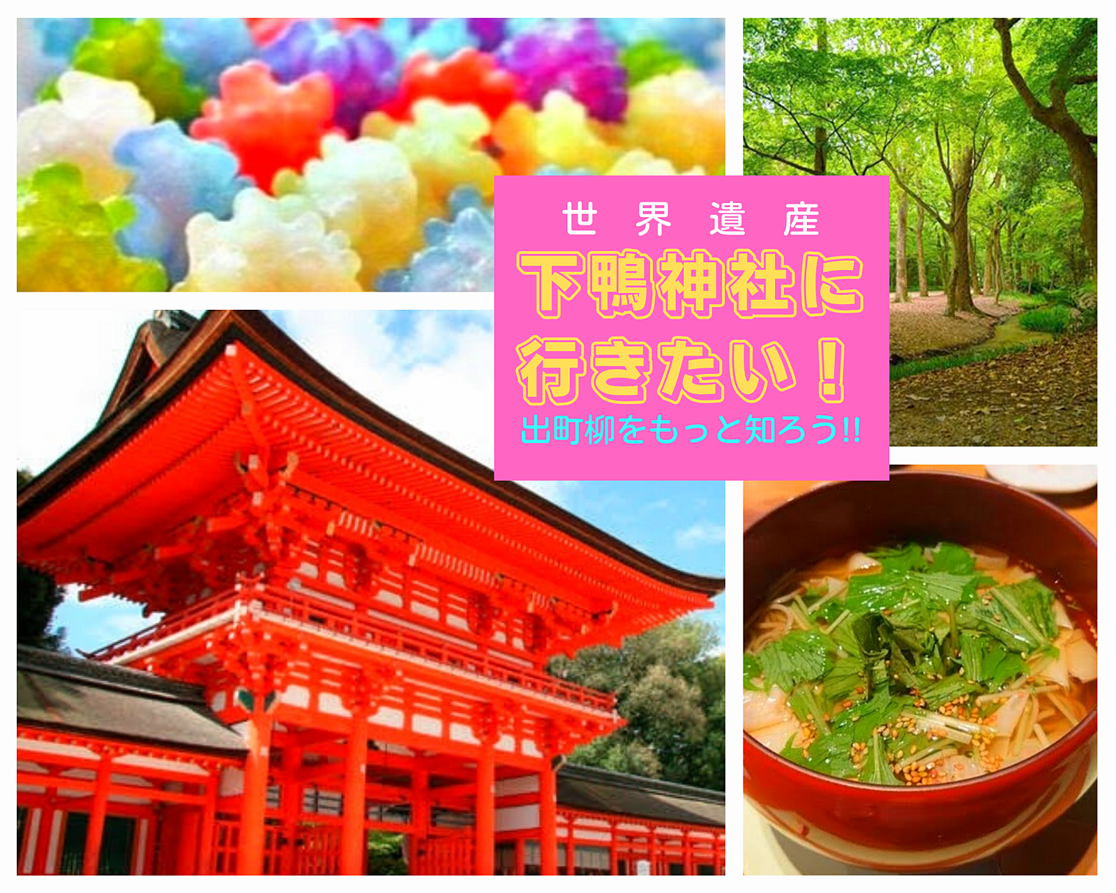 下鴨神社に行きたい⛩️出町柳めぐり🌱