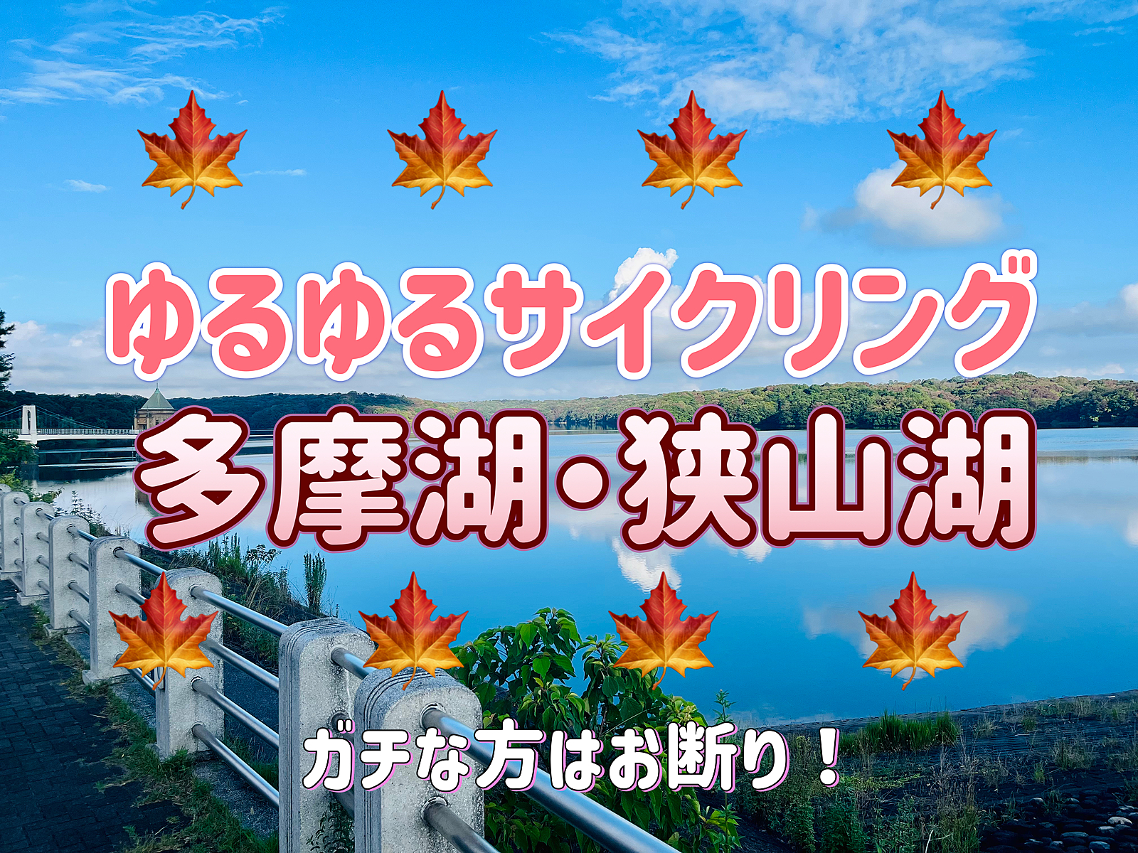 ◎レンタサイクル可◎紅葉の多摩湖と狭山湖をゆるゆるとサイクリングしよう！