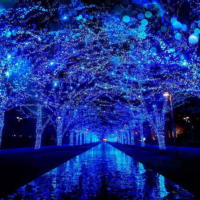 【先着4名無料】ホットなイルミネーション？青の洞窟へ行こう🌈🌈