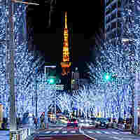 【先着4名無料】六本木けやき坂イルミネーションへ行こう🚶✨