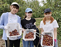 【場所および時間変更】みんなで芋掘りを体験しよう！🍠