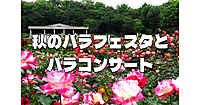 日本を代表するバラ園・神代植物公園の秋のバラフェスタ！バラコンサートもあるようです♪