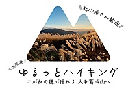 【難波発】ゆるっとハイキング こがねの穂が揺れる 大和葛城山へ【初心者歓迎】