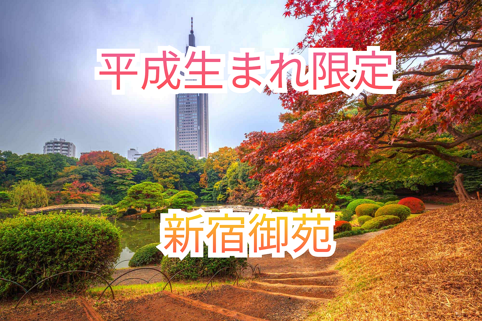 先着8名様無料【秋の新宿御苑🍁】美しい紅葉と一緒に楽しむ特別なイベント✨