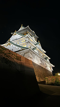 ウォーキング大阪城で✨朝活しよ