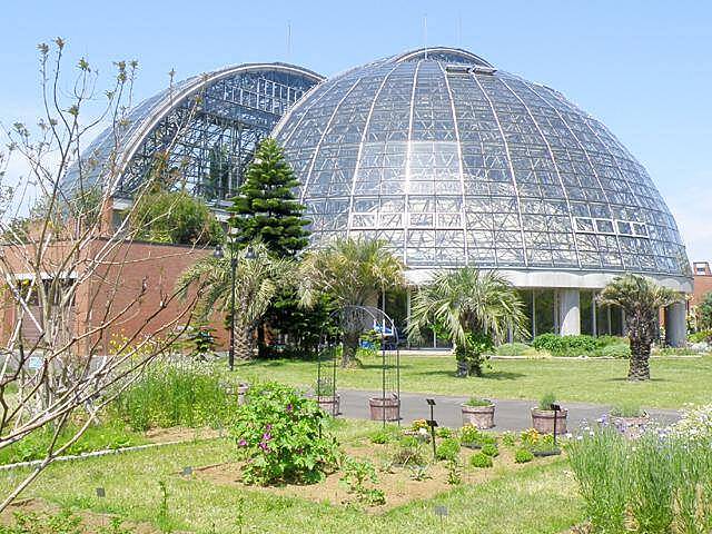 【先着5名無料】夢の島熱帯植物館へ行こう🏵️🏵️