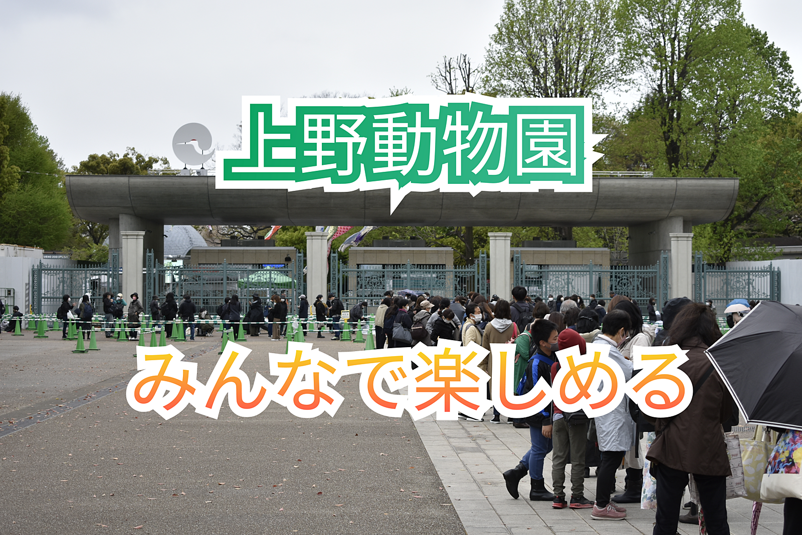 【入園料1名様無料】参加費無料【上野動物園🐼】可愛い動物たちとのふれあいで癒される特別な一日✨