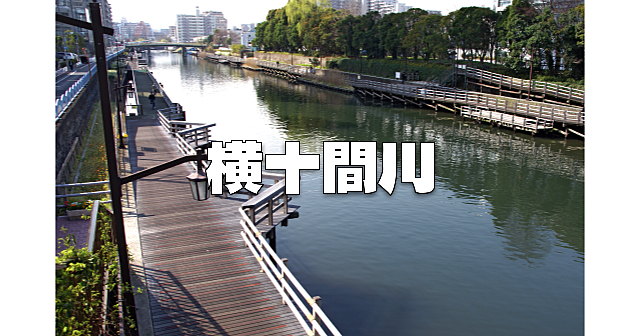 木場～住吉を歩きます！江戸時代から残る運河・横十間川親水公園、木場公園、猿江恩賜公園を歩きます♪