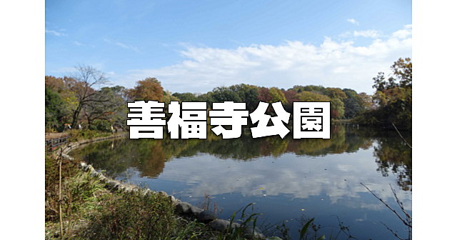 善福寺公園と都内有数の社叢を誇る井草八幡宮をお散歩します♪