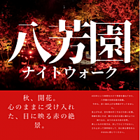 【白金台駅】八芳園の紅葉ライトアップ×ナイトウォーク